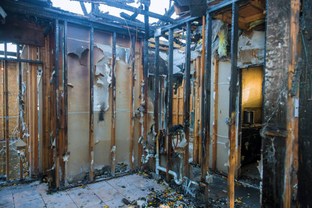 Professional Smoke Damage Removal technician working in Ellenton, FL