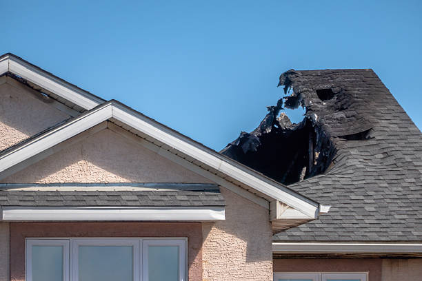 Top rated local Smoke Damage Removal specialists in Ellenton, FL